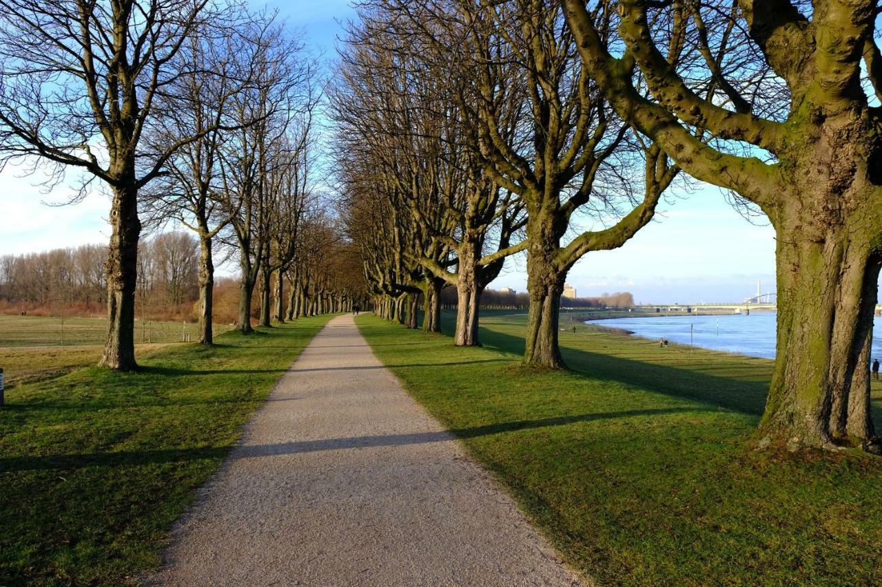 Messe Apartment Neuss Duesseldorf Eksteriør bilde
